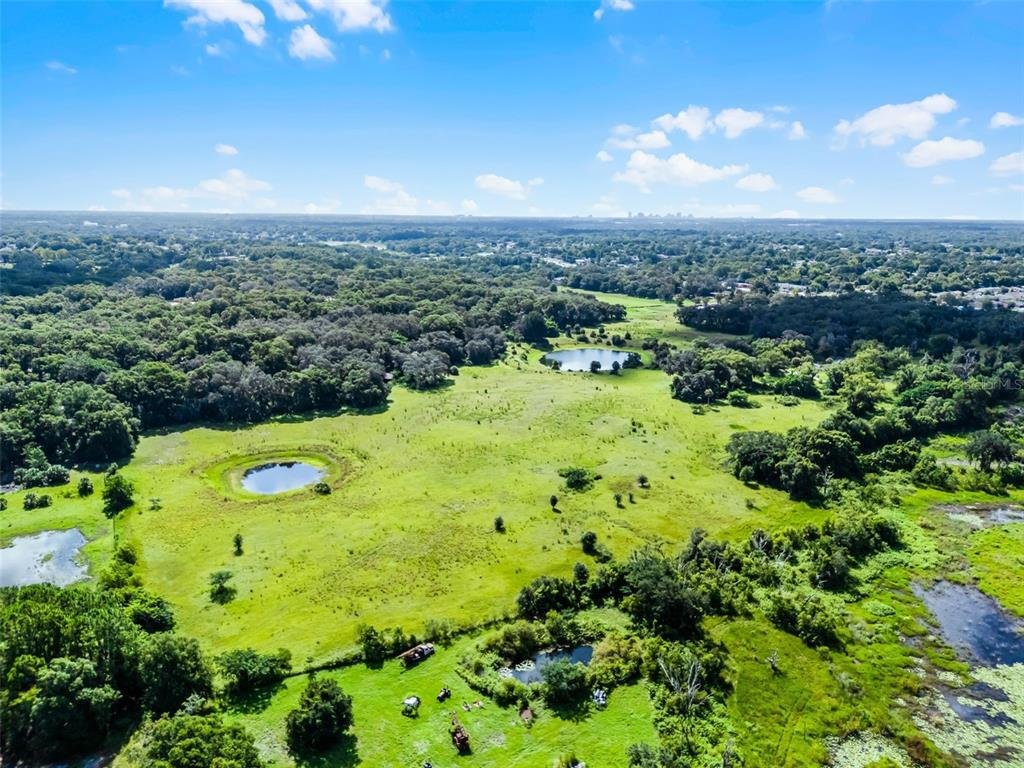 Terrain à Orlando, Floride, États-Unis 5 - 16114933