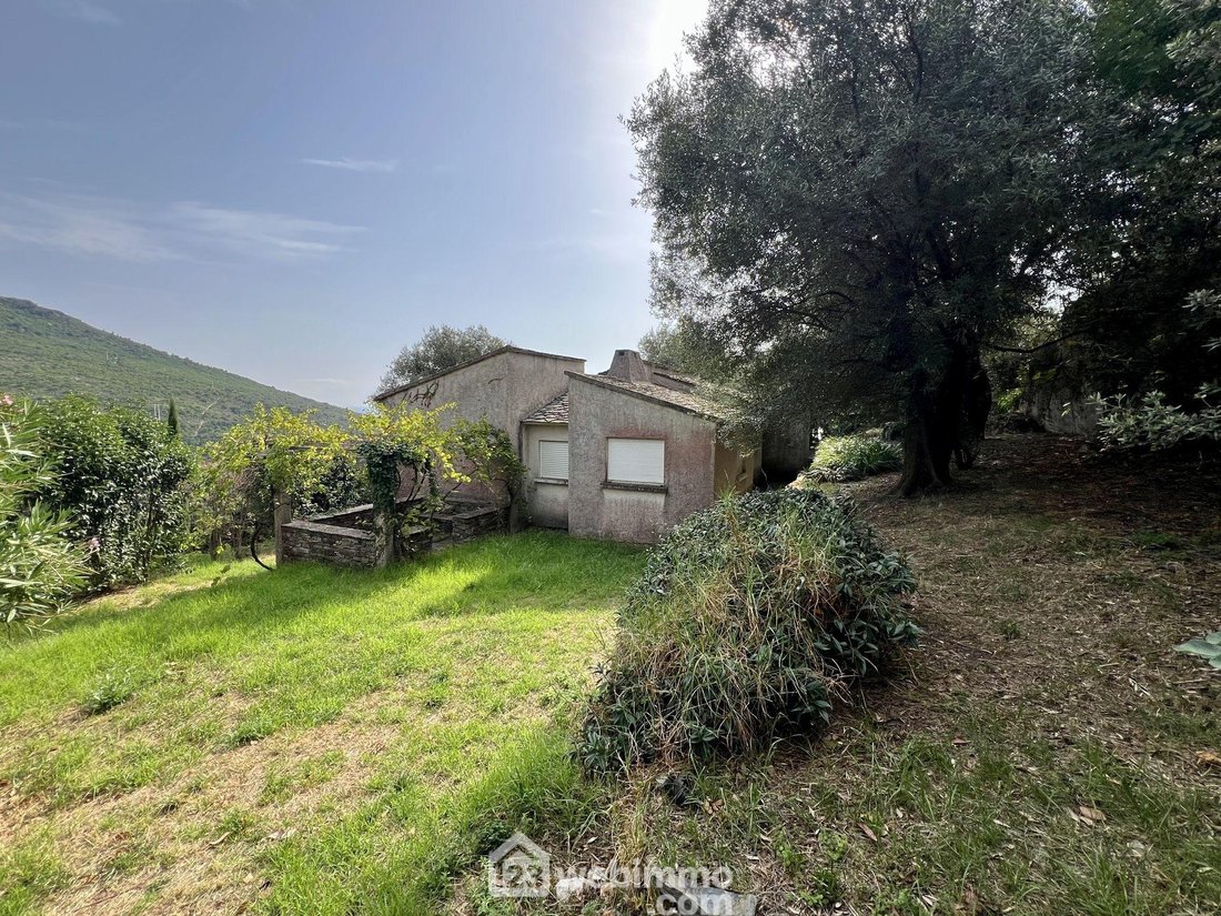 House in Brando, Corsica, France 1 - 16112646