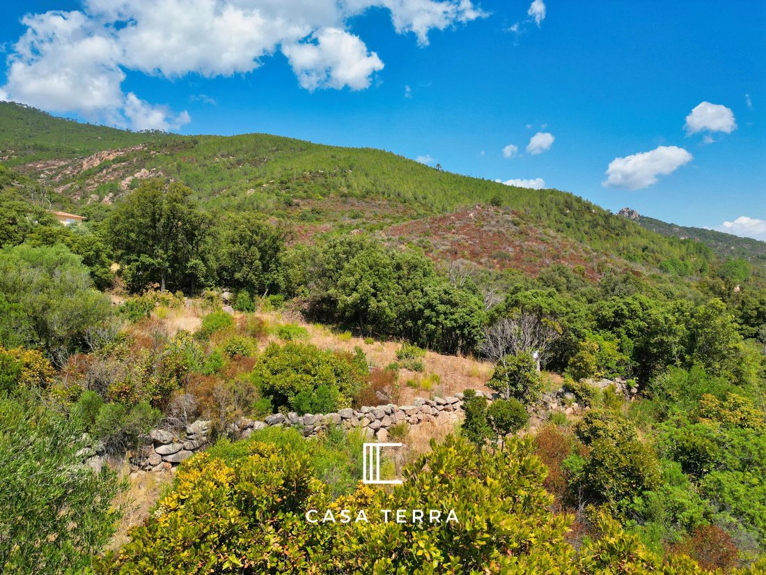 Land in Porto-Vecchio, Corsica, France 4 - 16109715