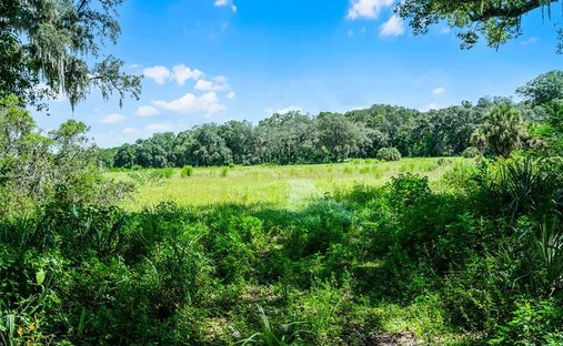 Terreno en Orlando, Florida, Estados Unidos 1