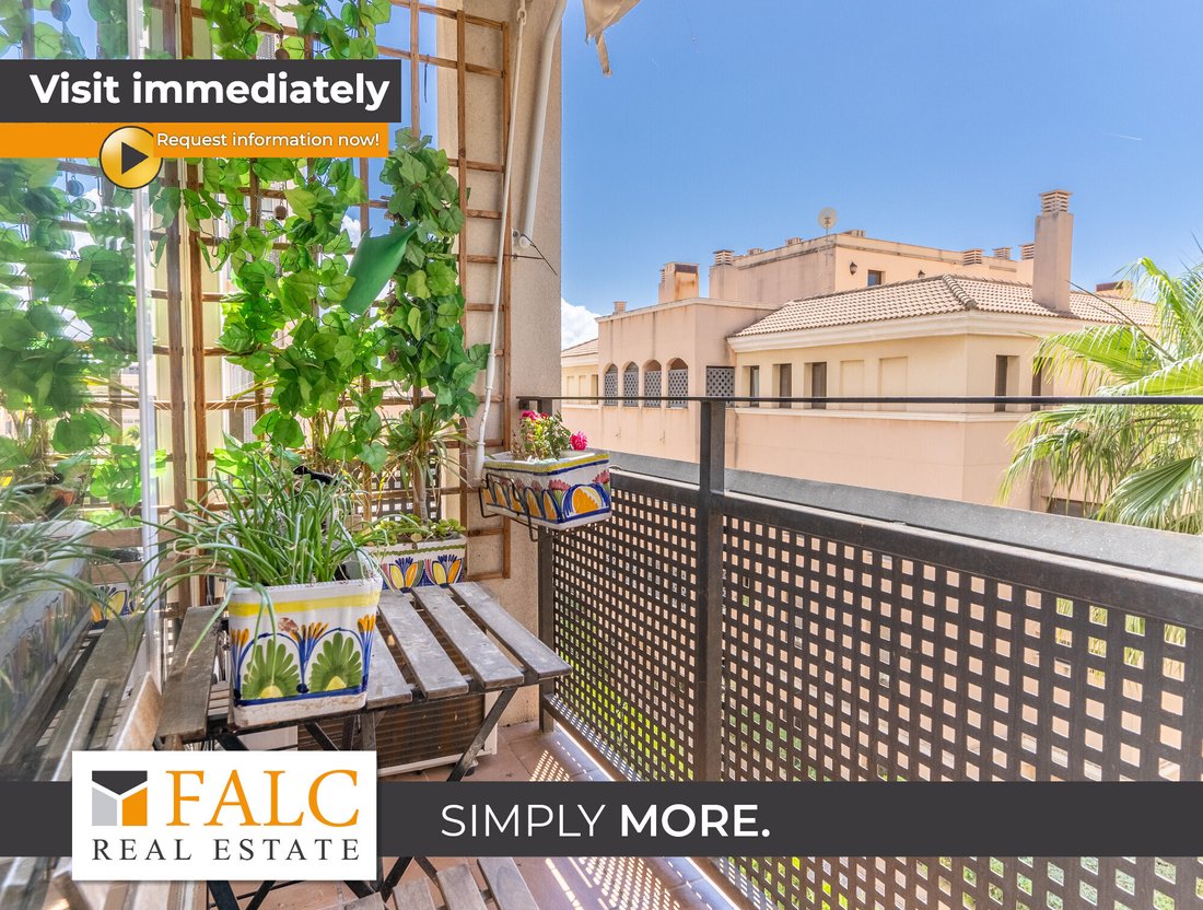 Apartment in Palma, Balearic Islands, Spain 1 - 16108609