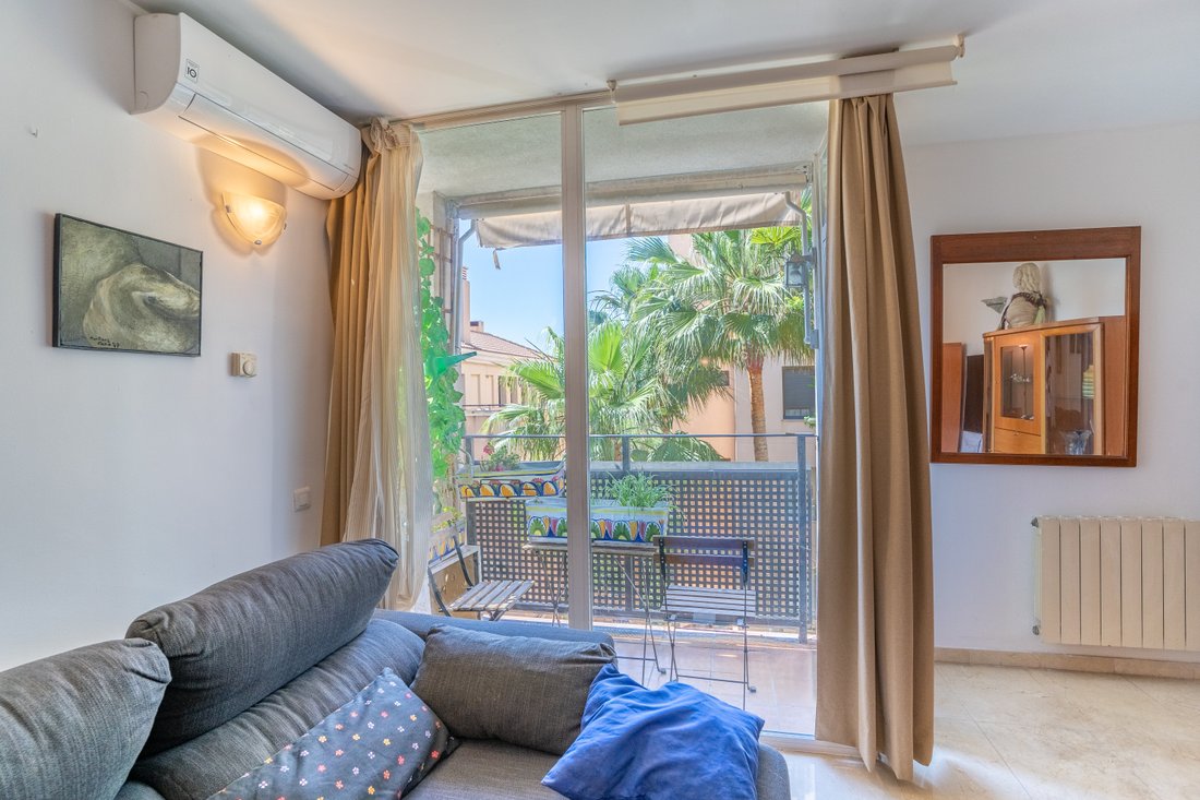 Apartment in Palma, Balearic Islands, Spain 5 - 16108609