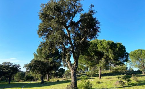 Terreno a Poceirao e Marateca, Setúbal Municipality, Portogallo 1