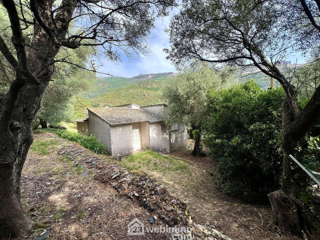 House in Brando, Corsica, France 2 - 16112646