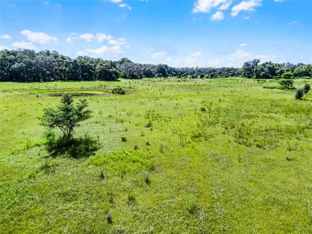 Terrain à Orlando, Floride, États-Unis 3 - 16114933
