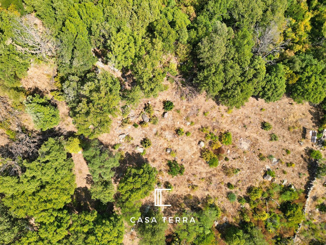 Land in Porto-Vecchio, Corsica, France 5 - 16109715