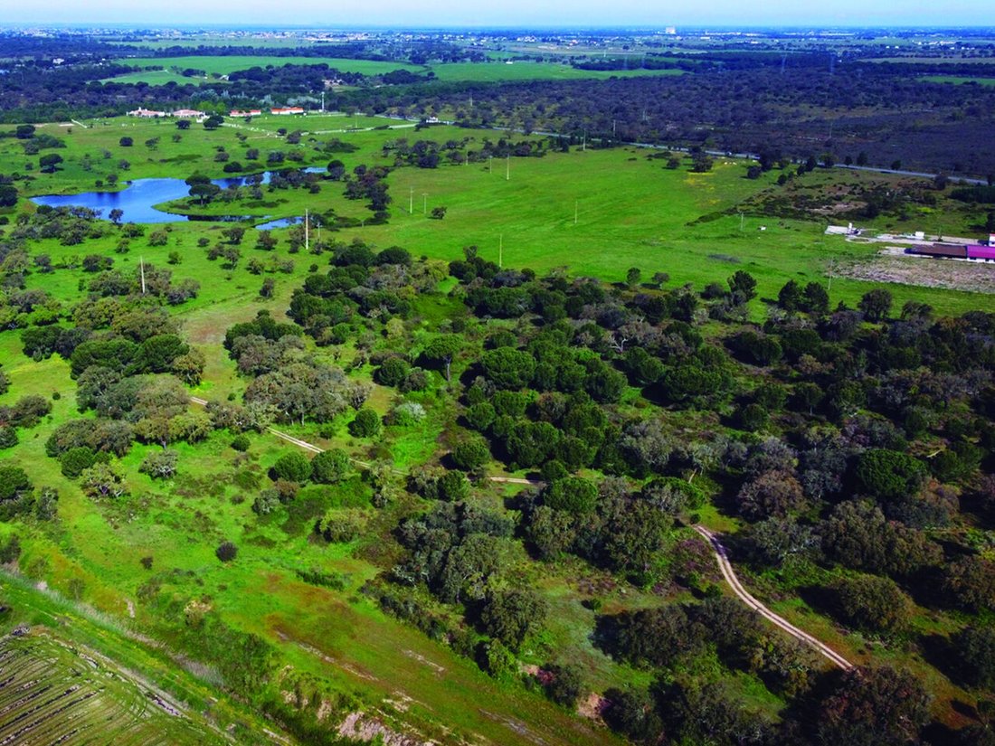 Land in Poceirao e Marateca, Setubal, Portugal 4 - 16111067