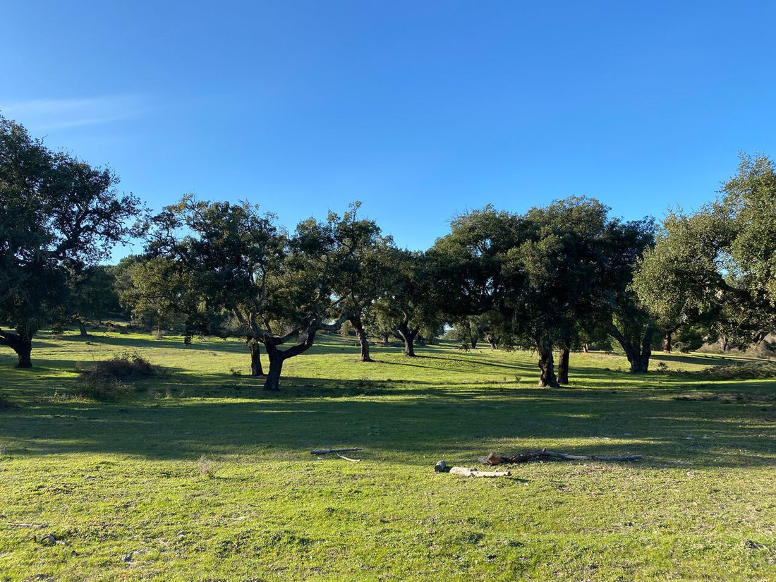 Land in Poceirao e Marateca, Setubal, Portugal 2 - 16111067
