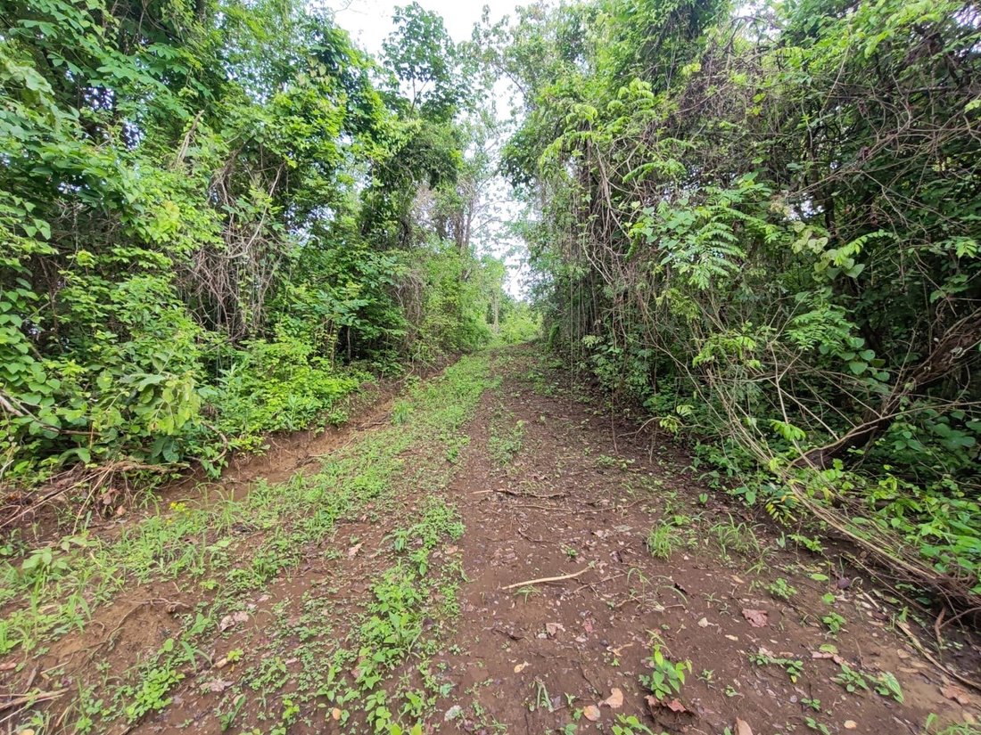 Land in Carmona, Guanacaste Province, Costa Rica 4 - 16109874