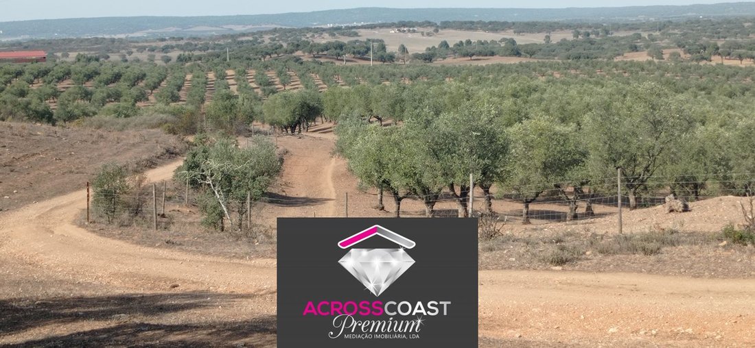 Land in Portel, Évora District, Portugal 5 - 14839362
