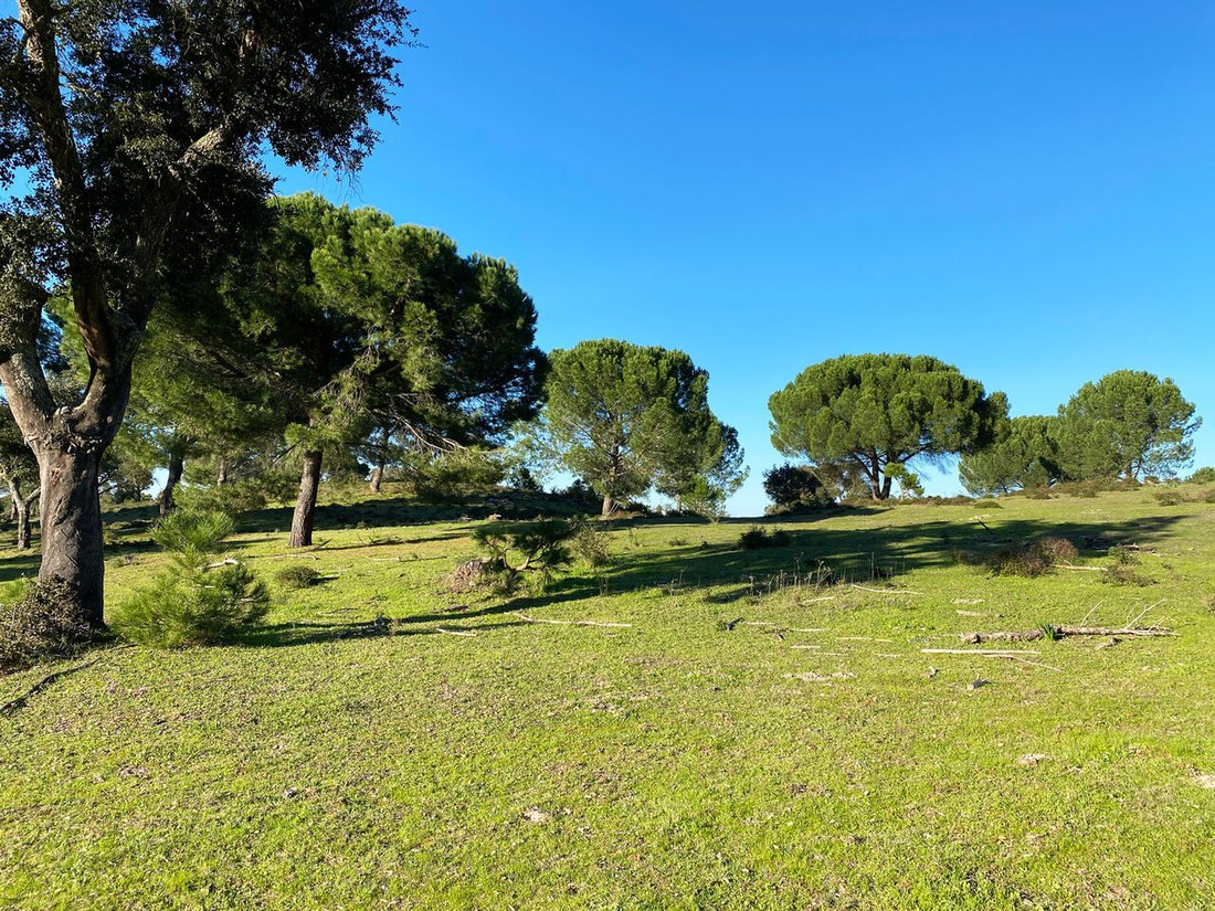 Land in Poceirao e Marateca, Setubal, Portugal 3 - 16111067