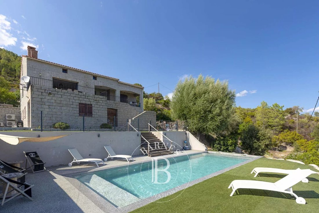 Villa in San-Gavino-di-Carbini, Corsica, France 1 - 16108299