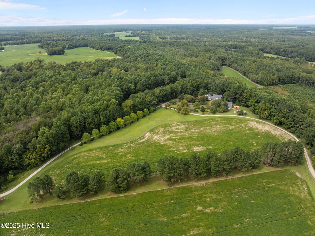 House in Tarboro, North Carolina, United States 4 - 15263131