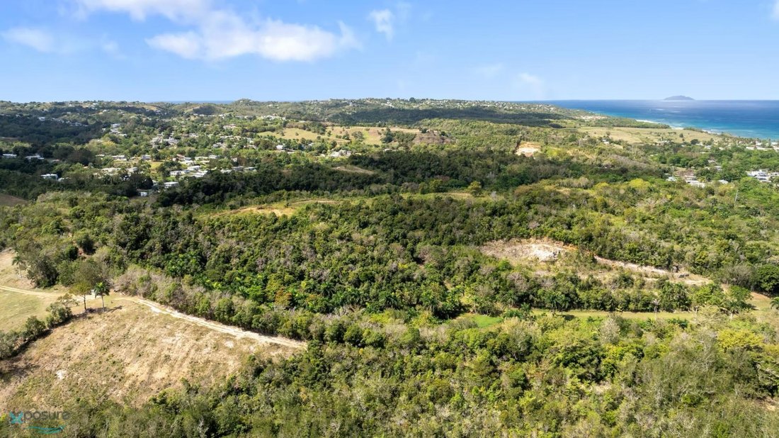Land in Aguada, Aguada, Puerto Rico 2 - 16114469