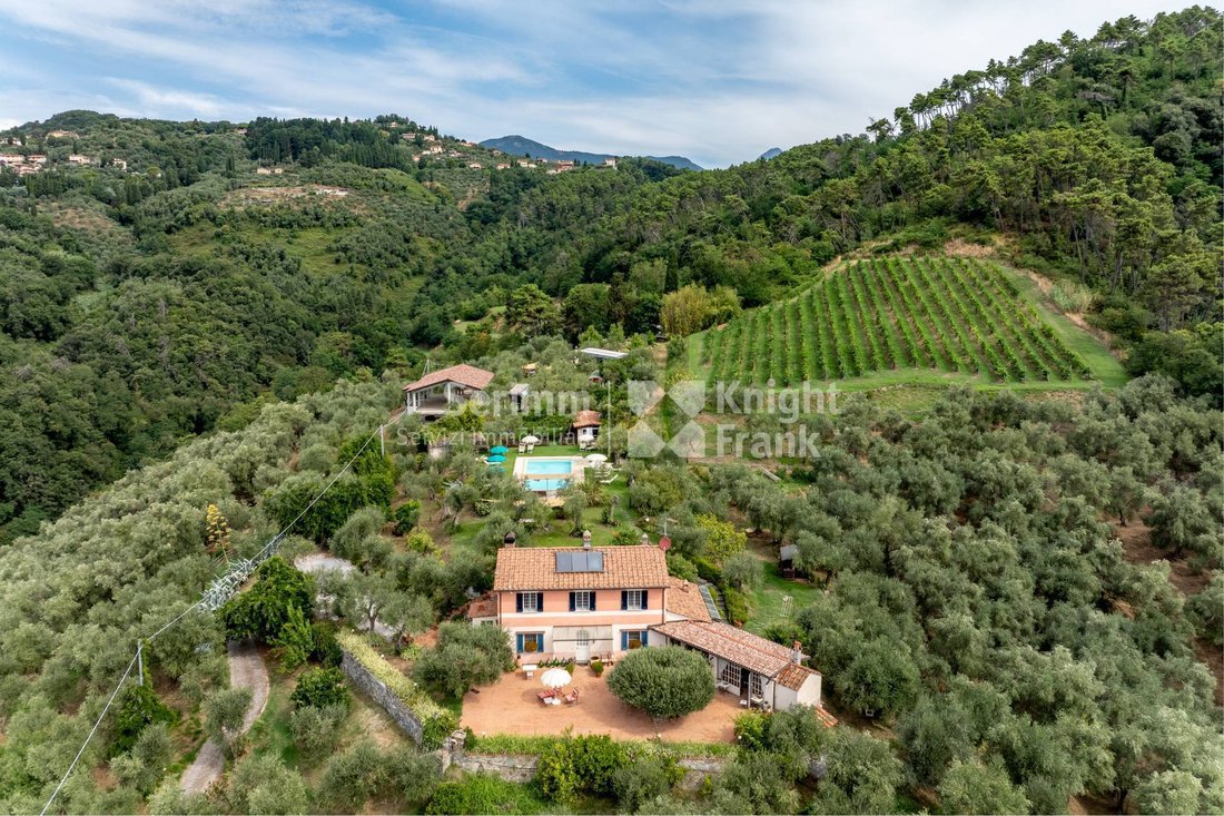 House in Piano di Mommio, Massarosa, Tuscany 3 - 16110049