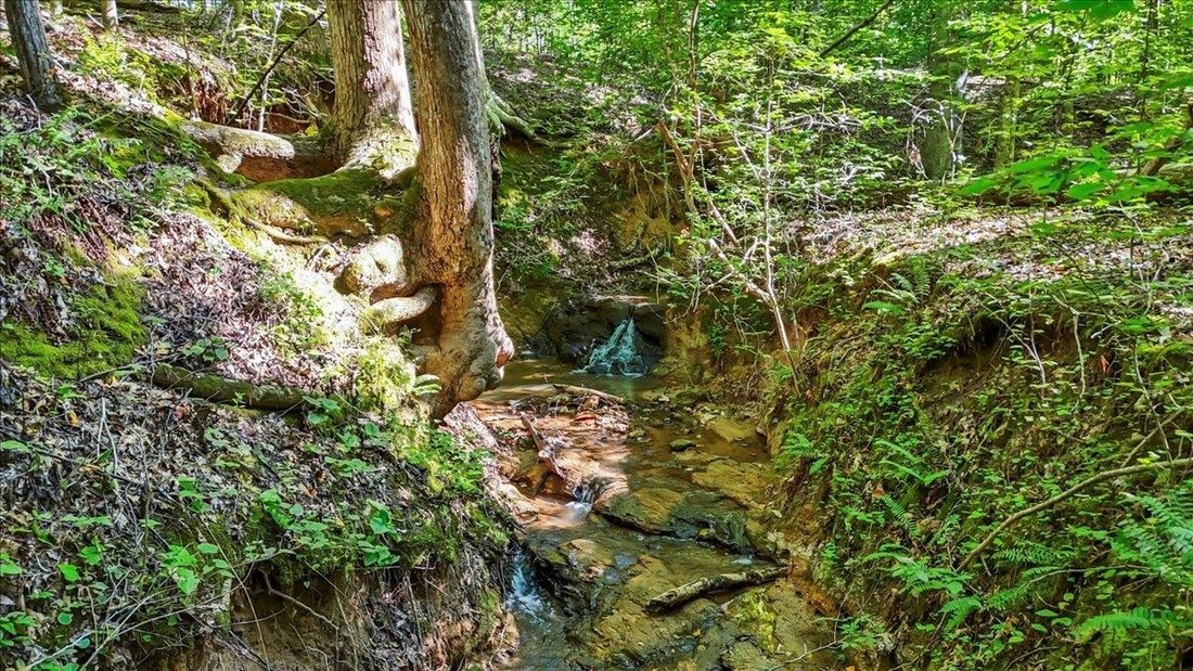 Terreno a Gray Court, Carolina del Sud, Stati Uniti 3 - 16110278