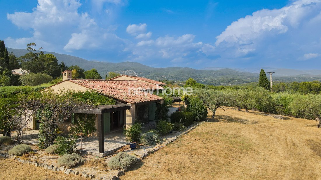 Provençal Reverie: A Sunlit Olive Estate by the Château’s Embrace