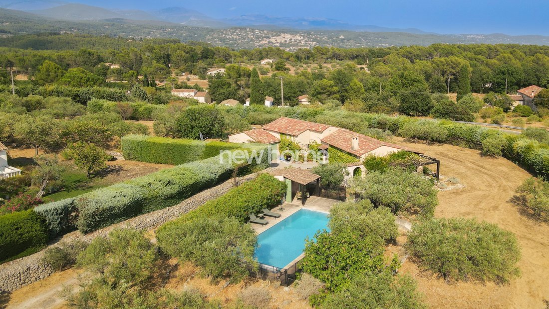Provençal Reverie: A Sunlit Olive Estate by the Château’s Embrace