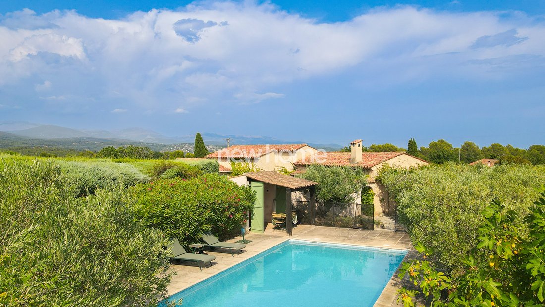 Provençal Reverie: A Sunlit Olive Estate by the Château’s Embrace