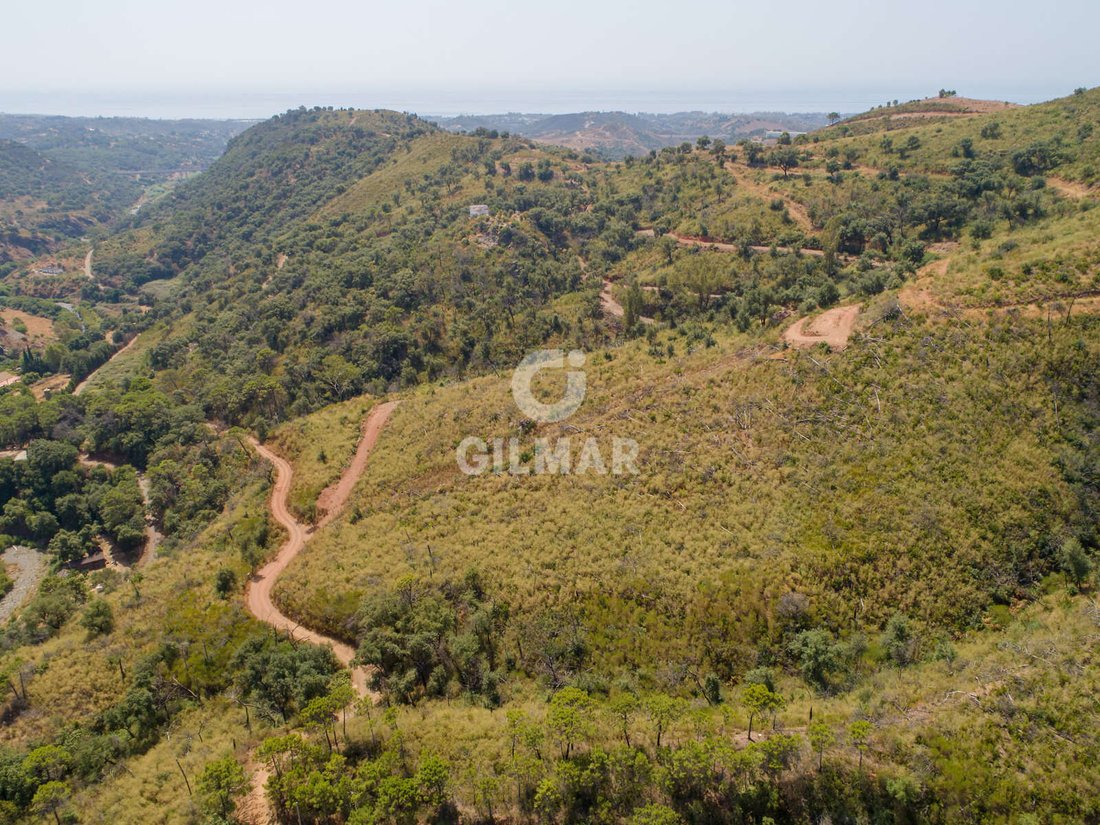 Terreno en Estepona, Andalucía, España 5 - 16109991