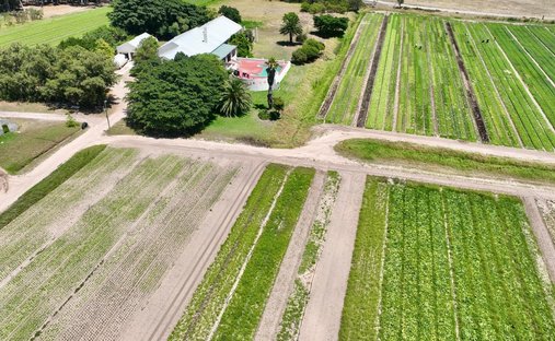 Farm Ranch in Klapmuts, Western Cape, South Africa 1