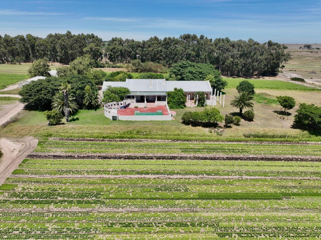 Farm Ranch in Klapmuts, Western Cape, South Africa 2 - 16108815