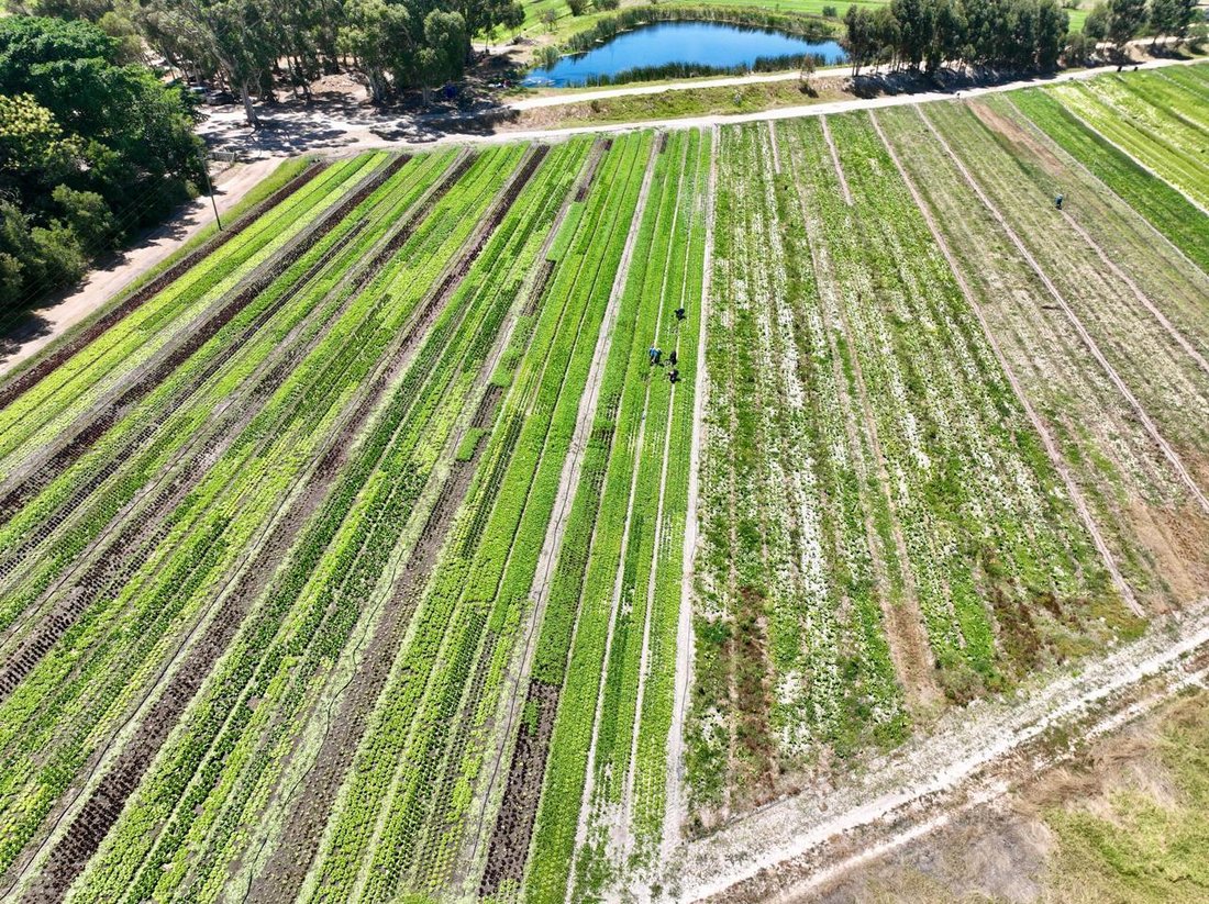 Farm Ranch in Klapmuts, Western Cape, South Africa 2 - 16108817