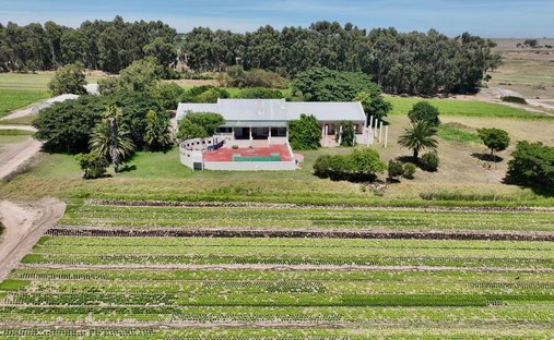 Farm Ranch in Klapmuts, Western Cape, South Africa 1