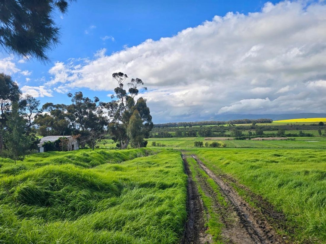 Farm Ranch in Klapmuts, Western Cape, South Africa 5 - 16108817