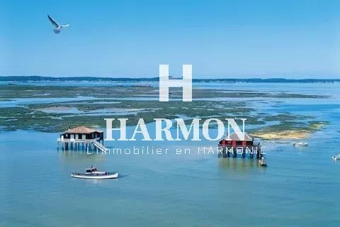 Aiguillon, Arcachon, France 1 - 16110698