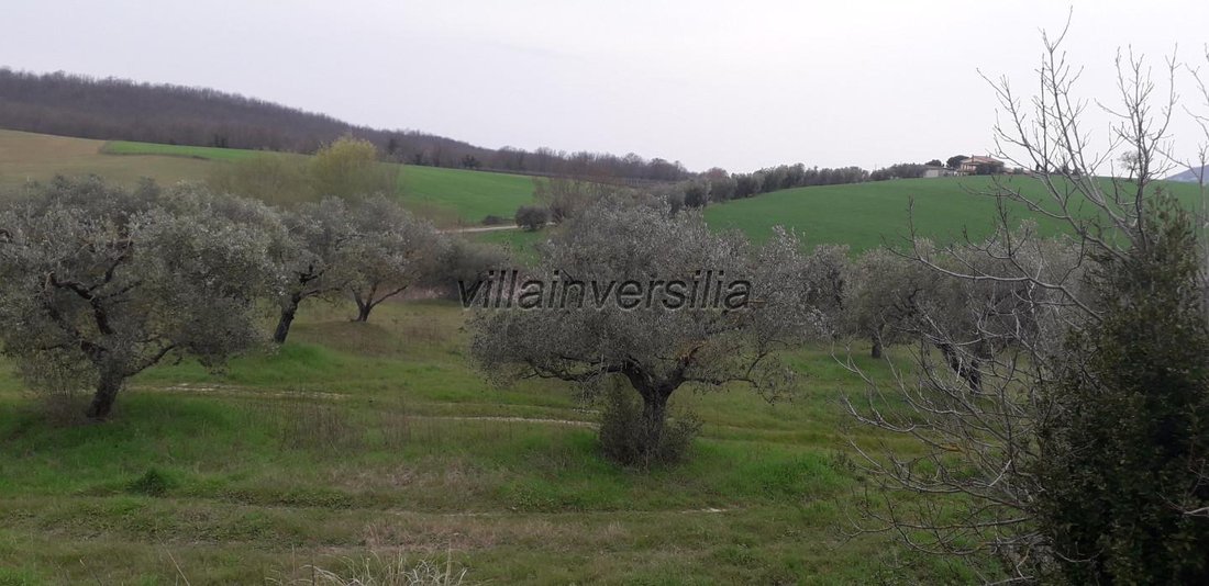 Manciano, Tuscany, Italy 4 - 16117059