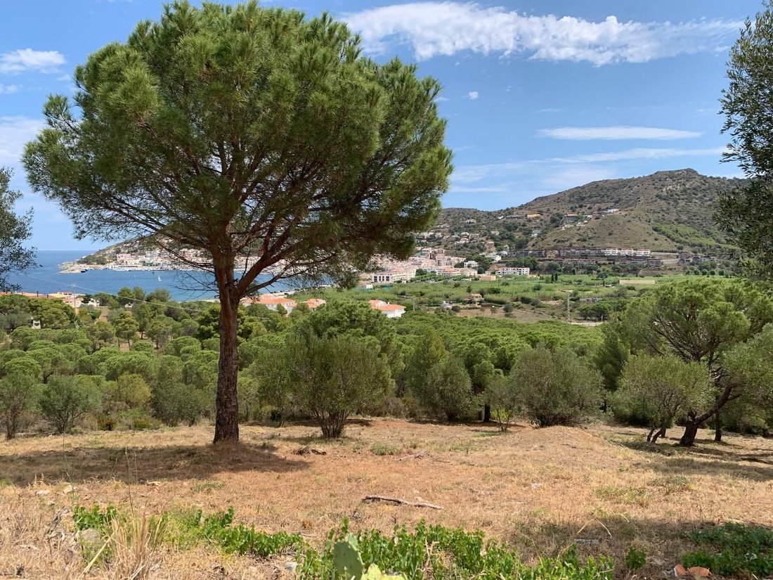 el Port de la Selva, Catalonia, Spain 3 - 16116795