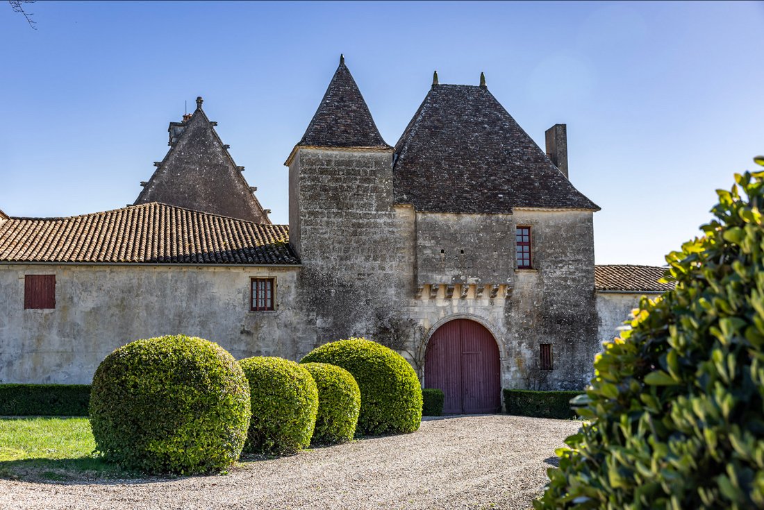 Estate in Saint-Sulpice-de-Faleyrens, Nouvelle-Aquitaine, France 5 - 16115888
