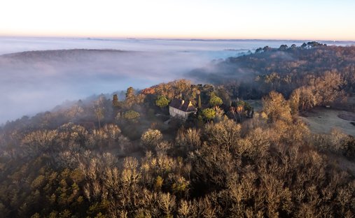 Castle in Arrondissement of Sarlat-la-Canéda, Nouvelle-Aquitaine, France 1