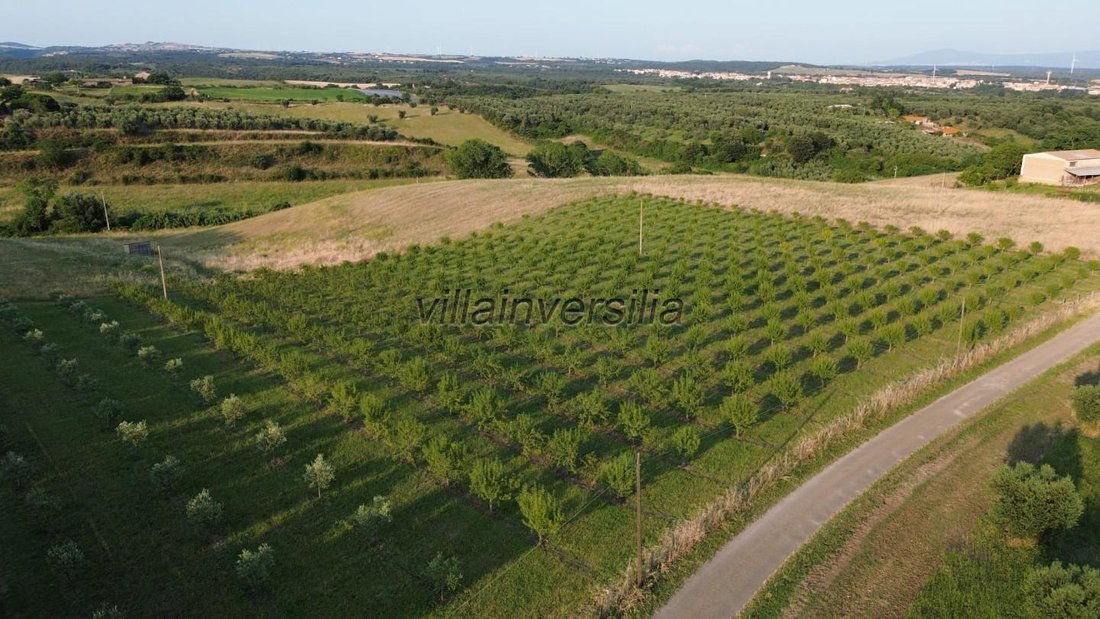 Country House in Canino, Lazio, Italy 1 - 16117068