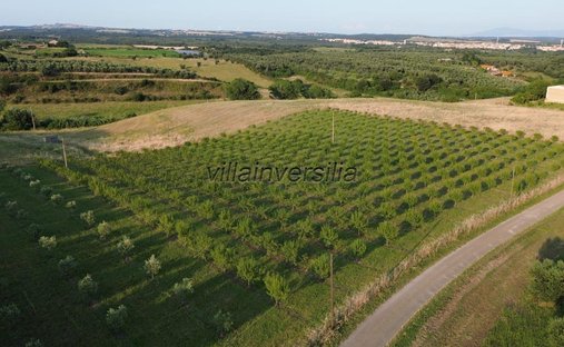 Country House in Canino, Lazio, Italy 1