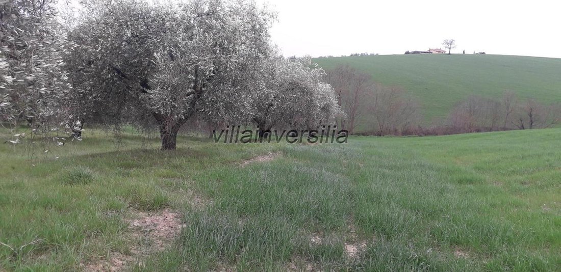 Manciano, Tuscany, Italy 2 - 16117059