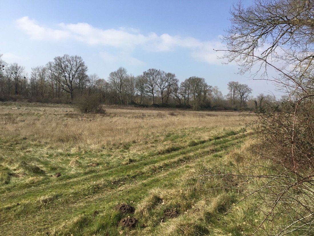 Estate in Faiencerie, Gien, France 4 - 16116074