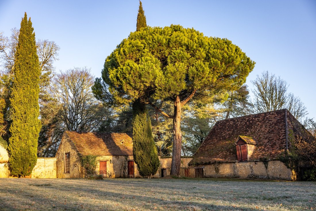 Whispers of Périgord: A 14th-Century Manor Between Two Legendary Rivers