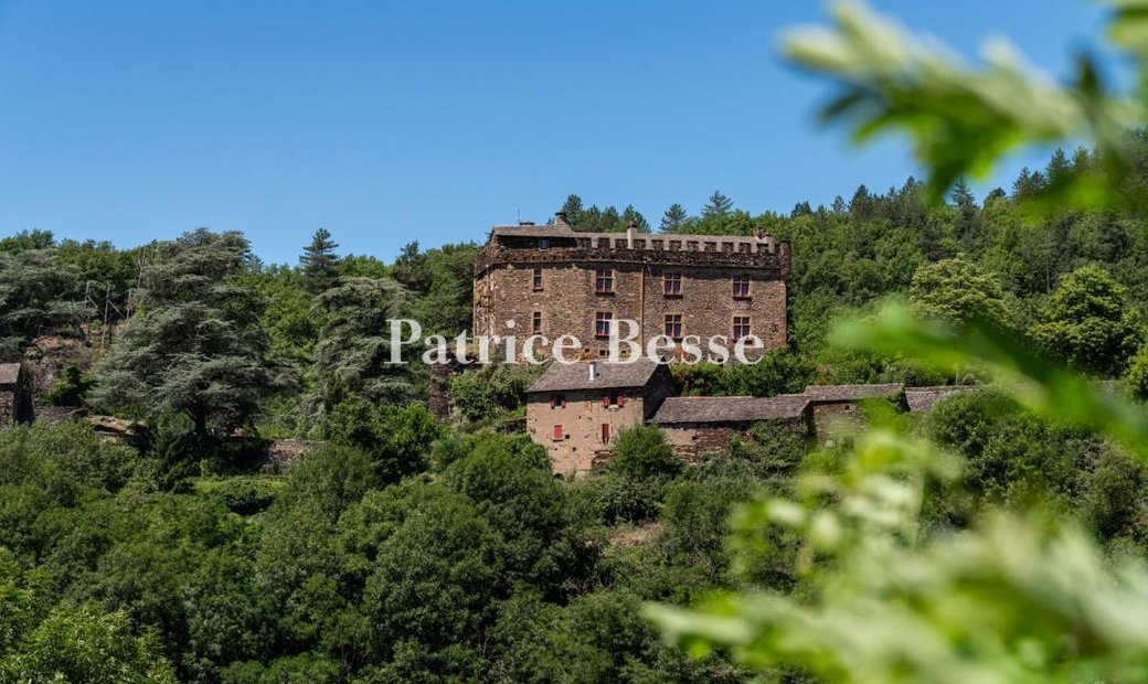 Castle for Sale in Florac-Trois-Rivières, Occitanie, France