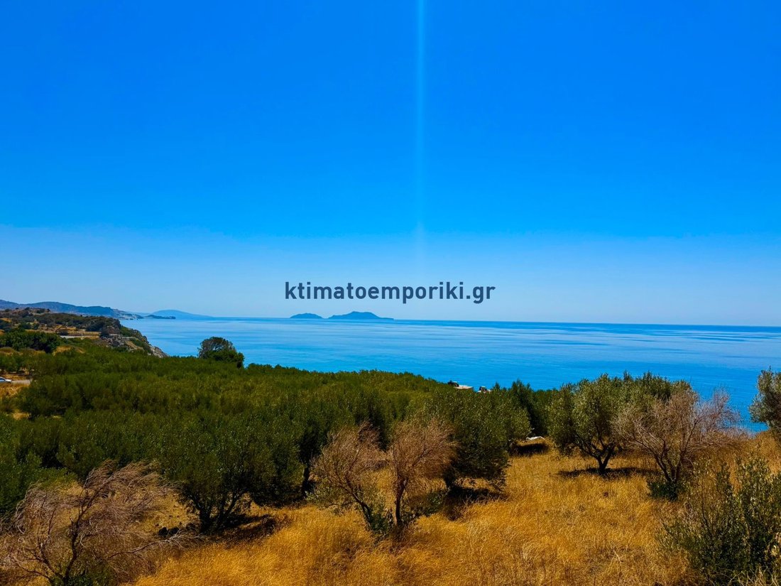 Land in Agios Vasileios, Greece 1 - 16117599