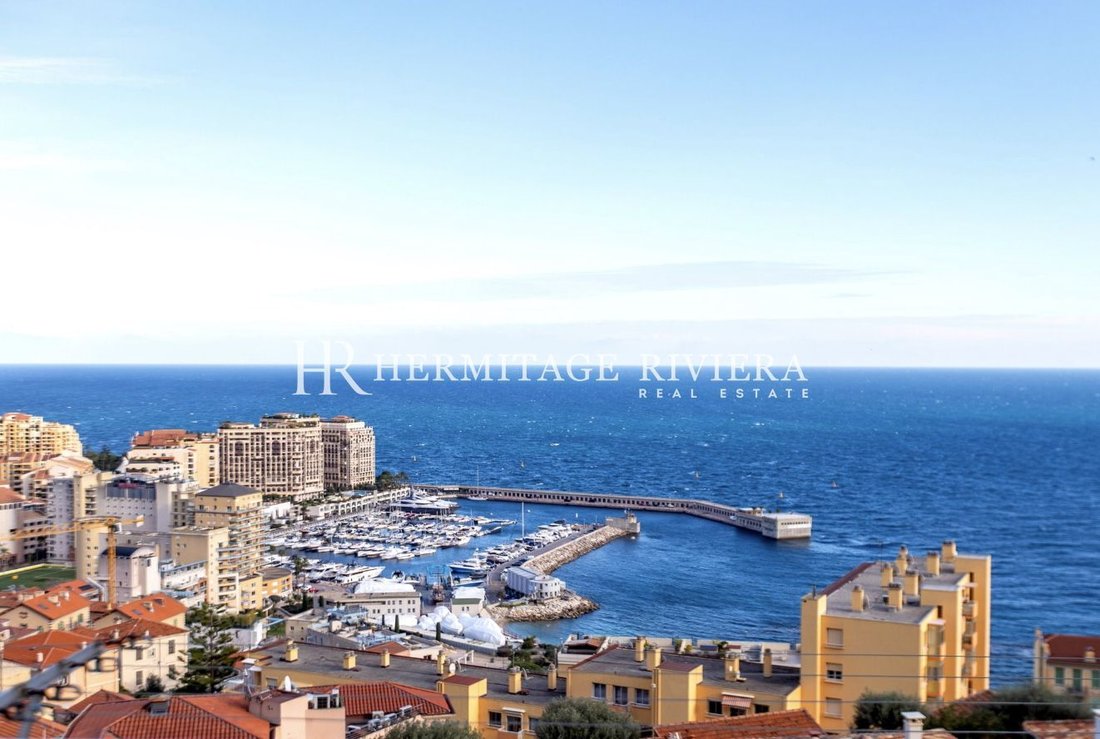Apartment in Cap-d'Ail, Provence-Alpes-Côte d'Azur, France 1 - 16117047