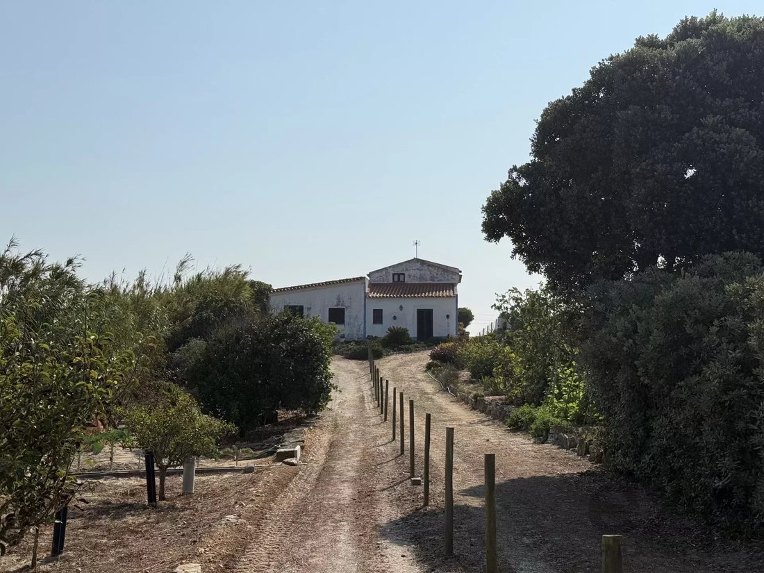 Farm Ranch in Ferrel, Leiria District, Portugal 5 - 16118213
