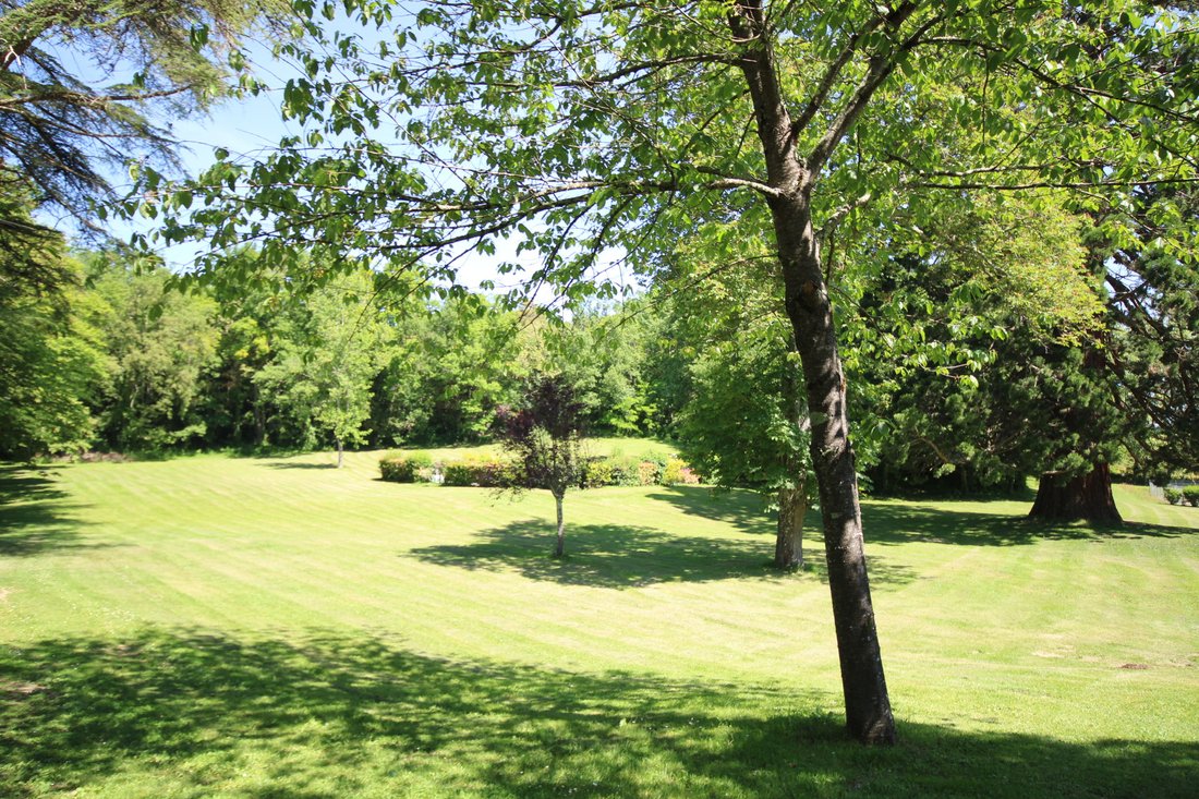 A Castle’s Whisper: Two Floors of History in Mirepoix’s Enchanted Wing - 5