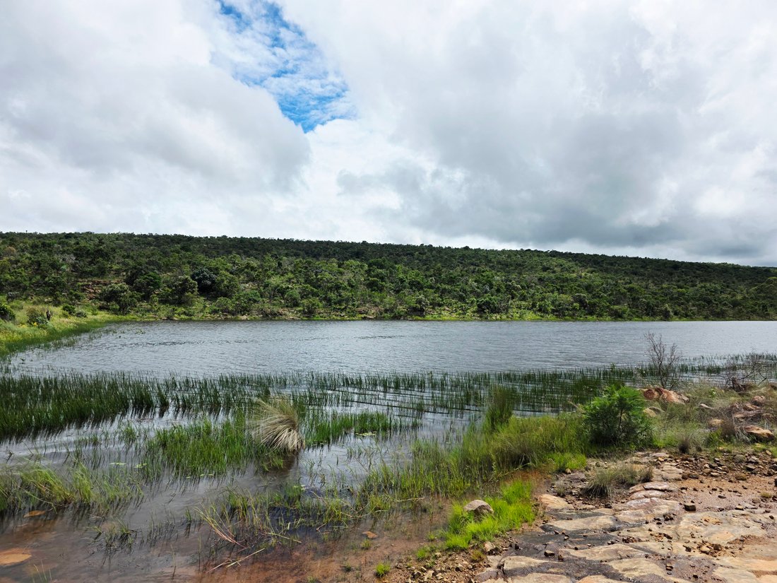 Farm Ranch in Mookgopong, Limpopo, South Africa 1 - 16118836