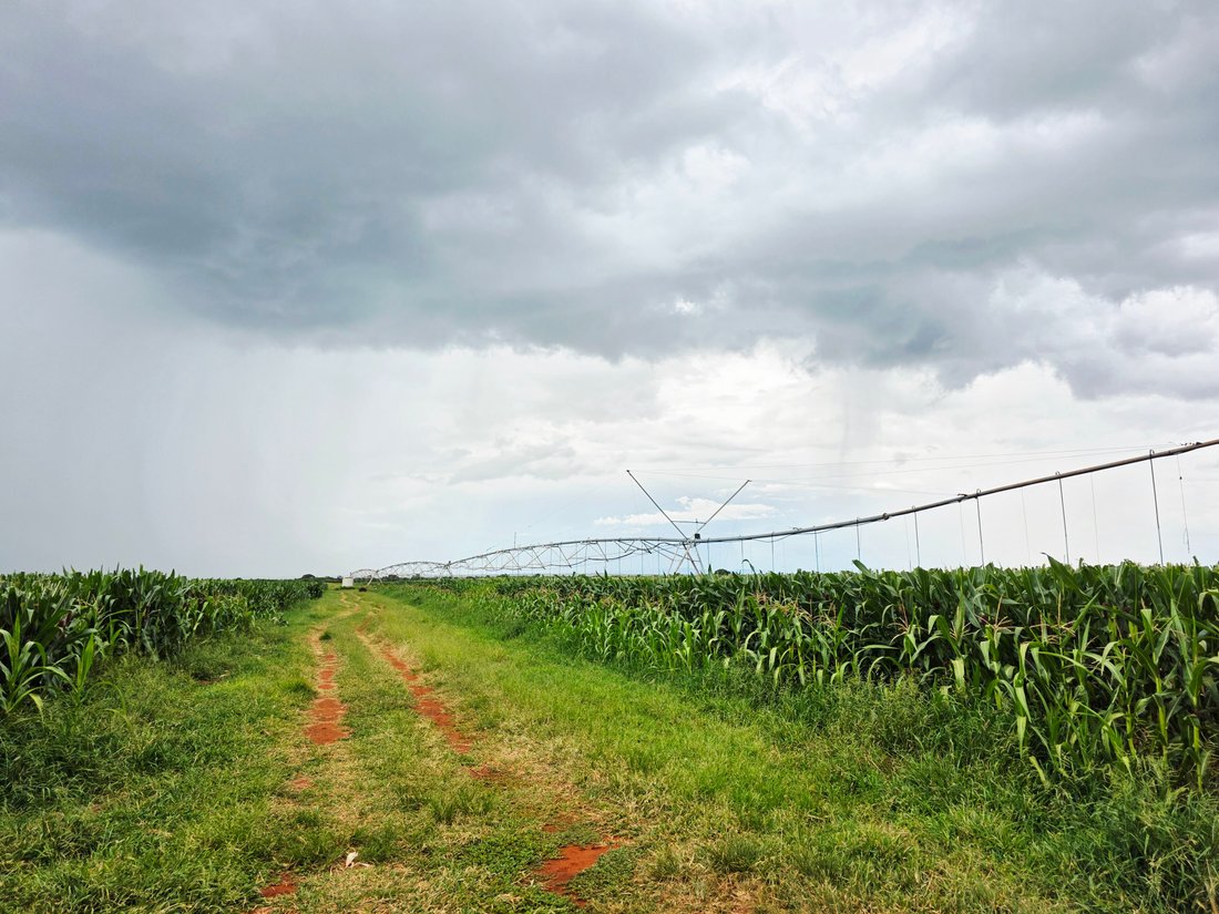 Farm Ranch in Mookgopong, Limpopo, South Africa 1 - 16118833
