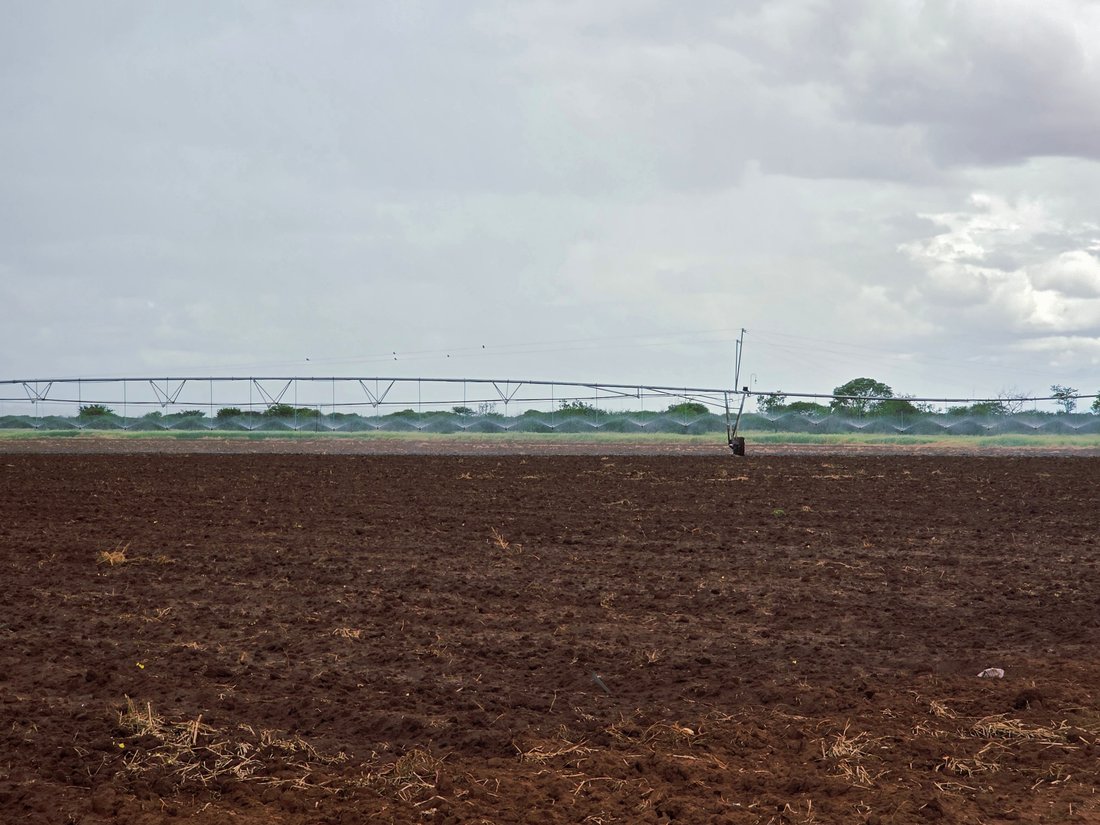 Farm Ranch in Mookgopong, Limpopo, South Africa 5 - 16118833