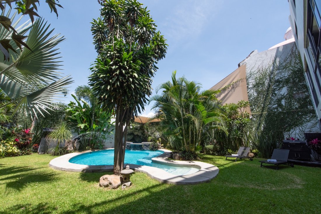 Cuernavaca, Morelos, Mexico 1 - 16118870