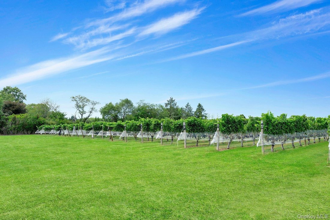 Land in Peconic, New York, United States 3 - 16120943