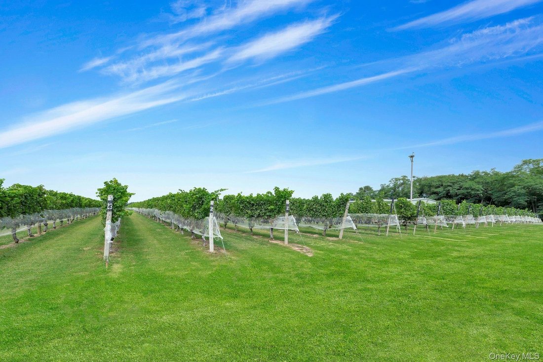 Land in Peconic, New York, United States 2 - 16120943